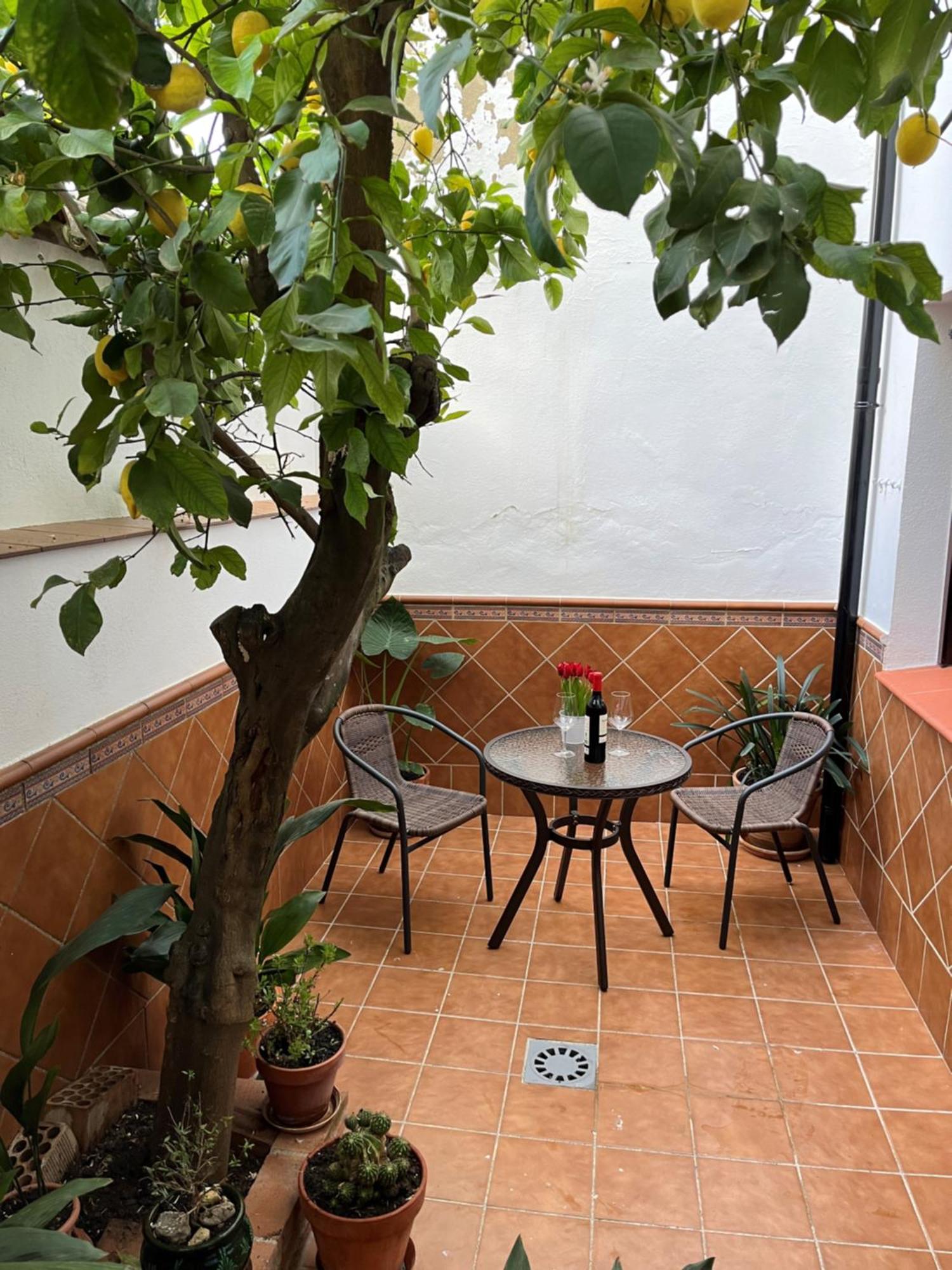 Casa Arao Villa Grazalema Exteriör bild